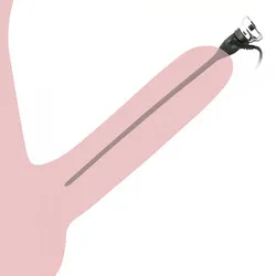 Electric Penis Plug
